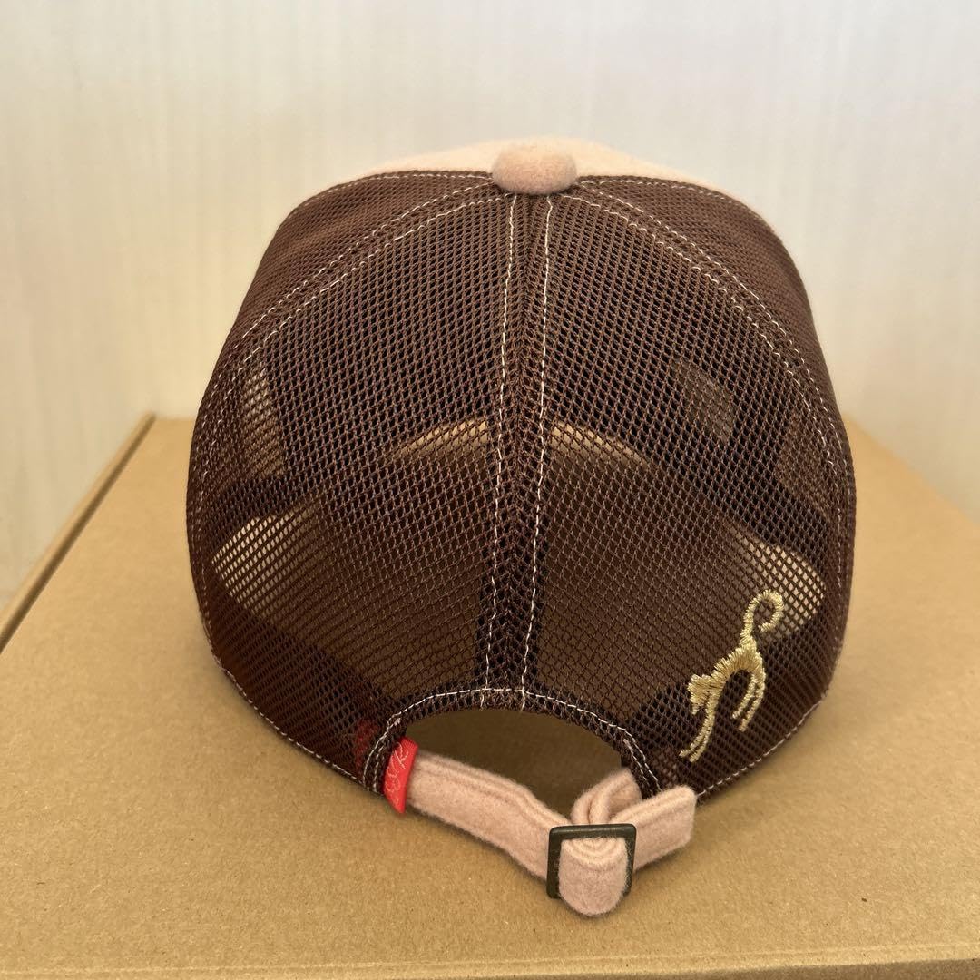 浅井健一　キャップ　SexyStonesRecords　オマケ付 浅井健一 キャップ SexyStonesRecords オマケ付 Amazon.co.jp: 浅井