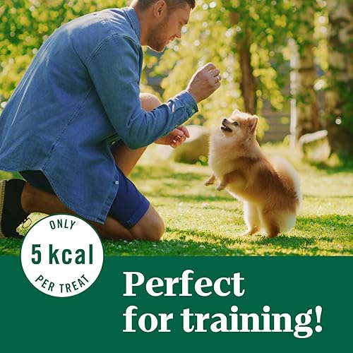 Miniatura 8 de Nutro - Premios para perro galletas crujientes y naturales