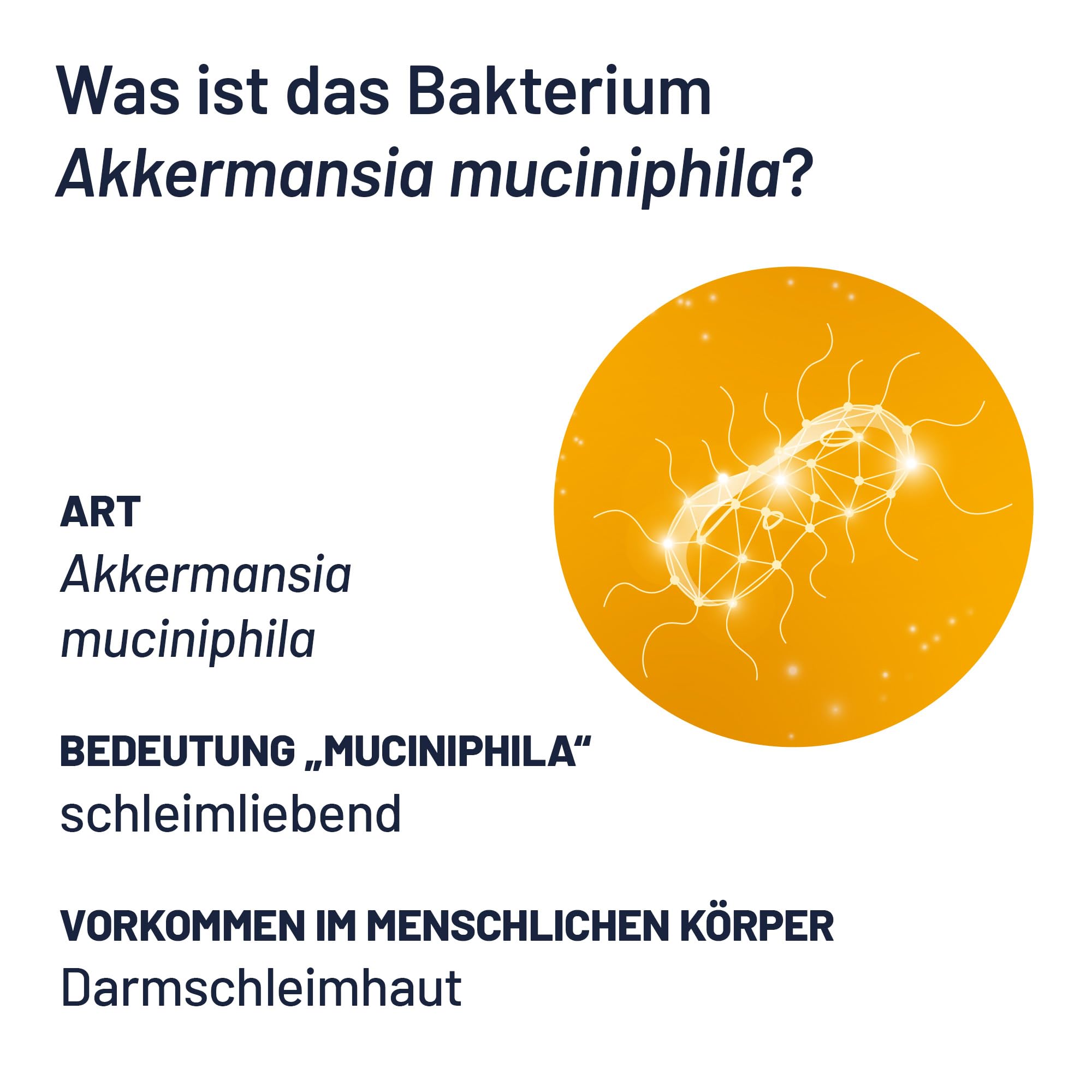 ProBio-Cult AKK1 Darm-Mukosa Pro mit 30 Mrd. pasteurisierten Akkermansia MucT® | 30 Tabletten | Für eine intakte Darmschleimhaut und -barriere | vegan, laktosefrei, glutenfrei