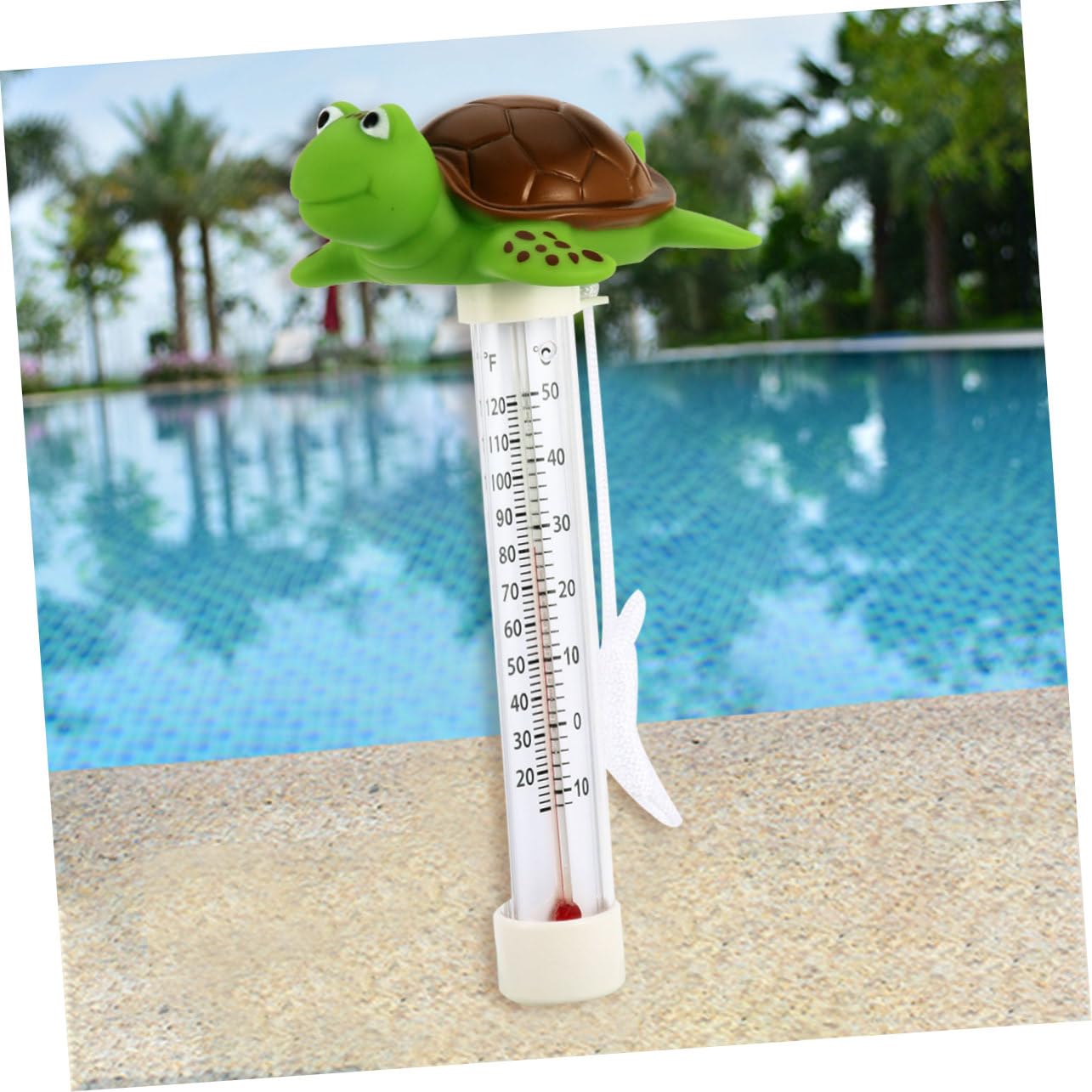 Mipcase 3pezzi Termometro Cartoon Per Termometro Per Piscina Design Misurazione Fahrenheit Facile Usare e