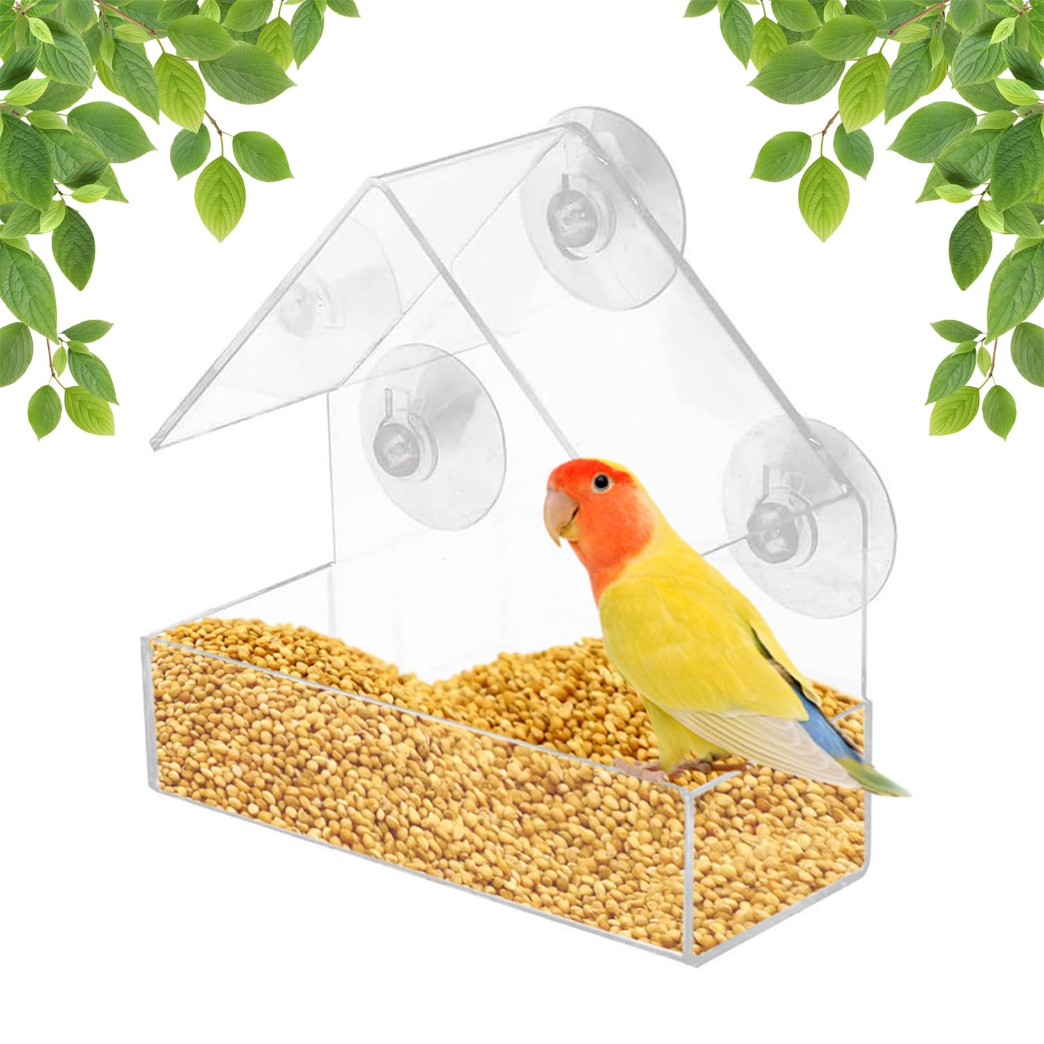 WUBAYI Clear Acrylic Bird Feeder - House Shape Design with 4 Suction Cups for Window Garden, Outdoor, Backyard, Little Birds