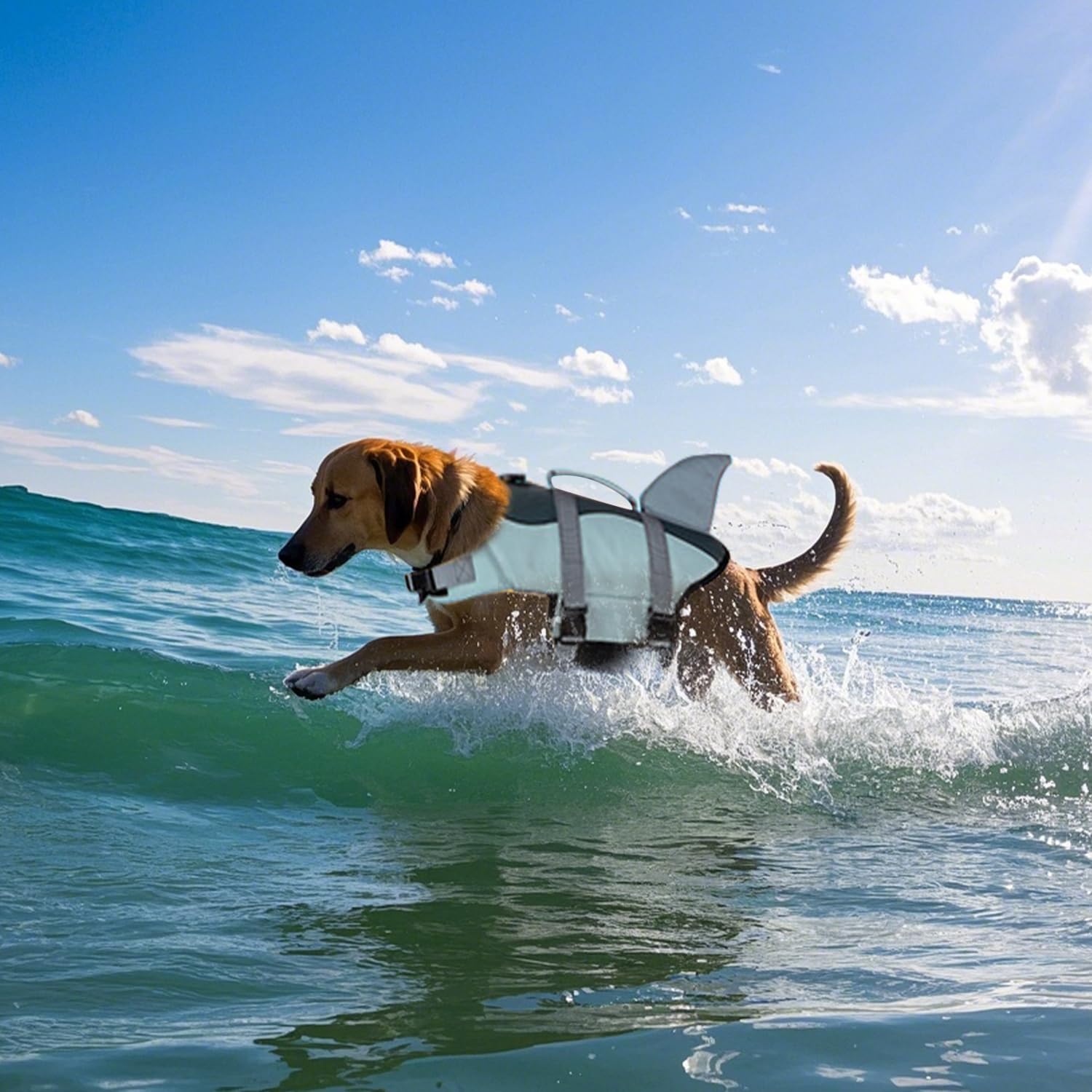 Chaleco salvavidas para tiburones con asa y reflector, chaleco de seguridad para mascotas (gris, XL)