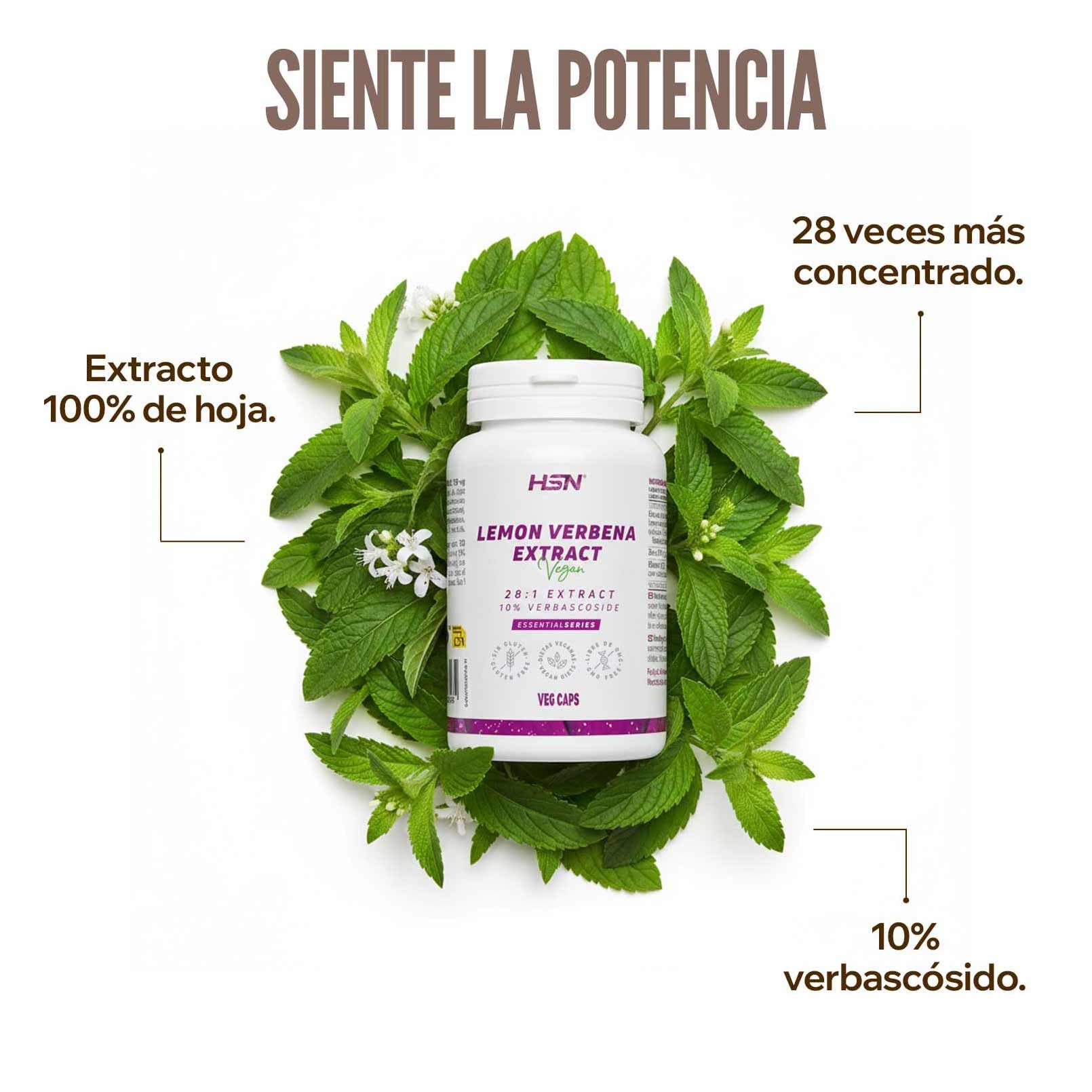 HSN Zitronenverbenen-Extrakt 400 mg (10% Verbascosid) | 120 pflanzliche Kapseln | 28:1-Extrakt aus Lippia-citriodora-Blättern | Ohne GVO, vegan, glutenfrei