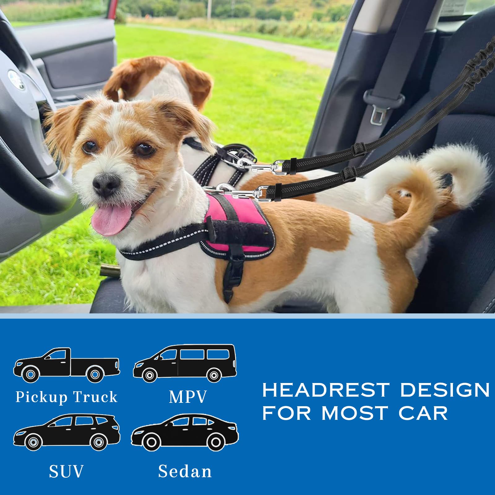 Double Dog Seat Belt, Adjustable Dog Seatbelt with Elastic Bungee Buffer - Image 4