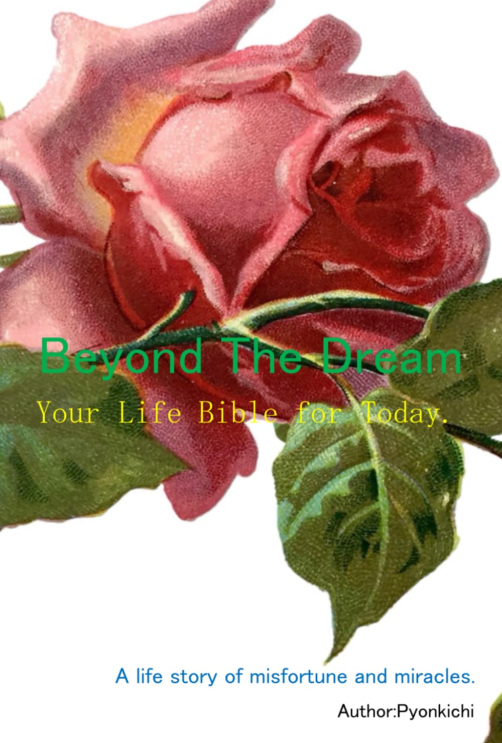 Beyond The Dream: Your life bible for Today