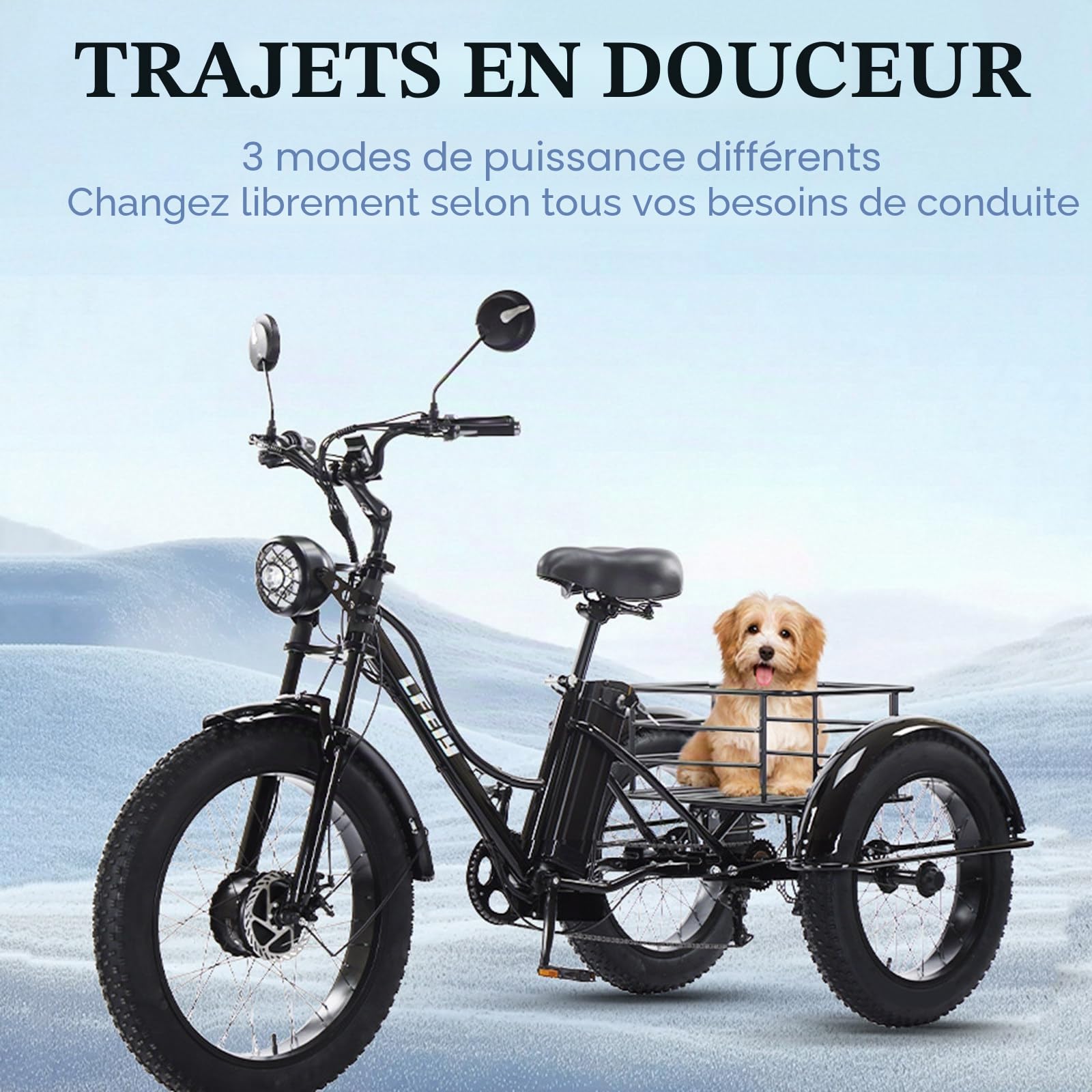Tricycle électrique 7 Vitesses Pour Adultes, Pneus Larges 24'' X 4.0, Batterie 48 V 18 Ah, Grand Panier De Rangement, écran Lcd, Idéal Pour Les Trajets Quotidiens,Le Shopping Et Les Loisirs Black