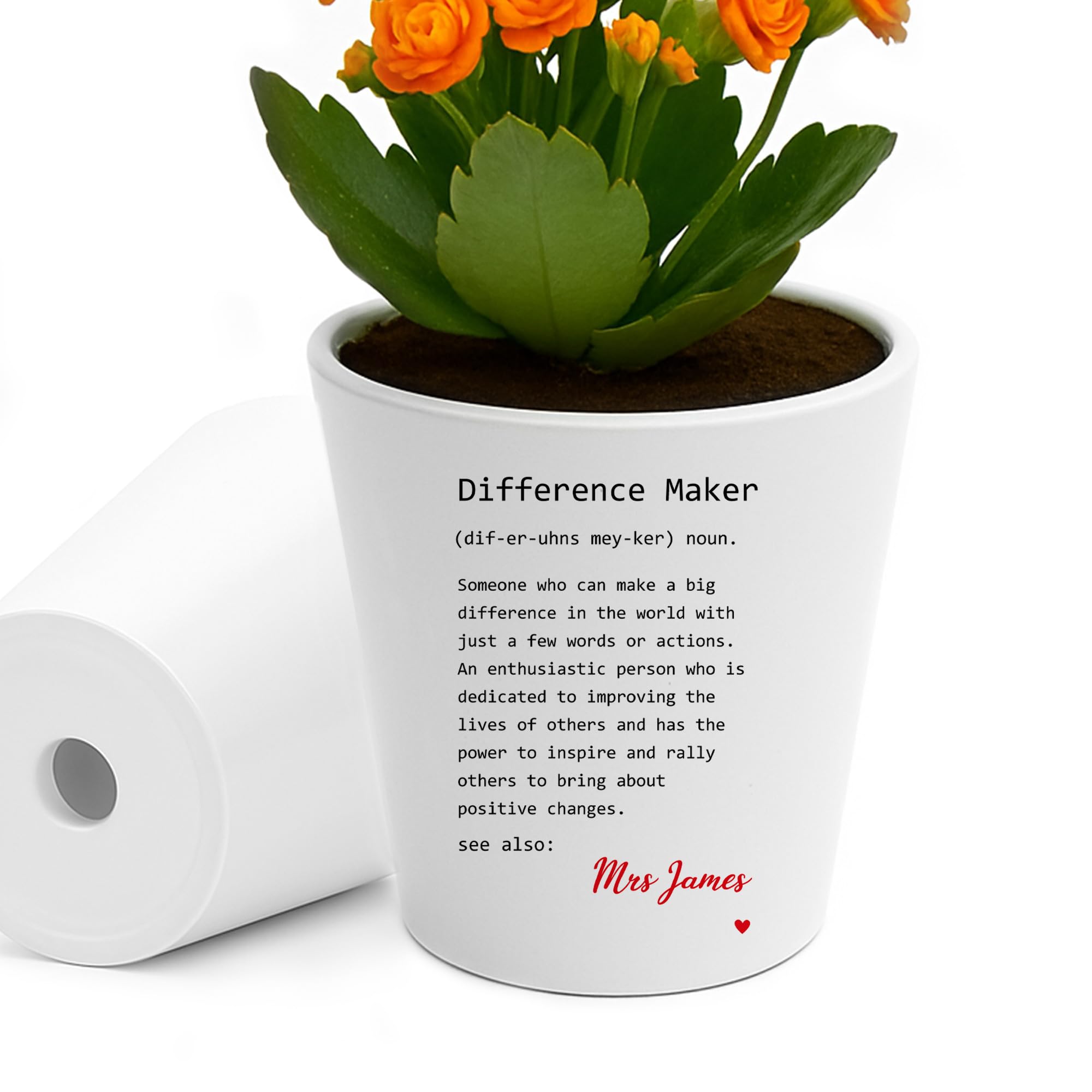 RED OCEAN Thank You Gift For Teacher DIFFERENCE MAKER Definition Personalised Floral Plant Pot 10cm x 9cm Teacher Gifts For Women Men Appreciation Gifts From Students Kids