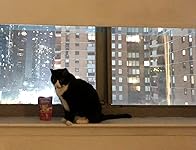 Review Image by NYC_Cat_Mom NYC_Cat_Mom
