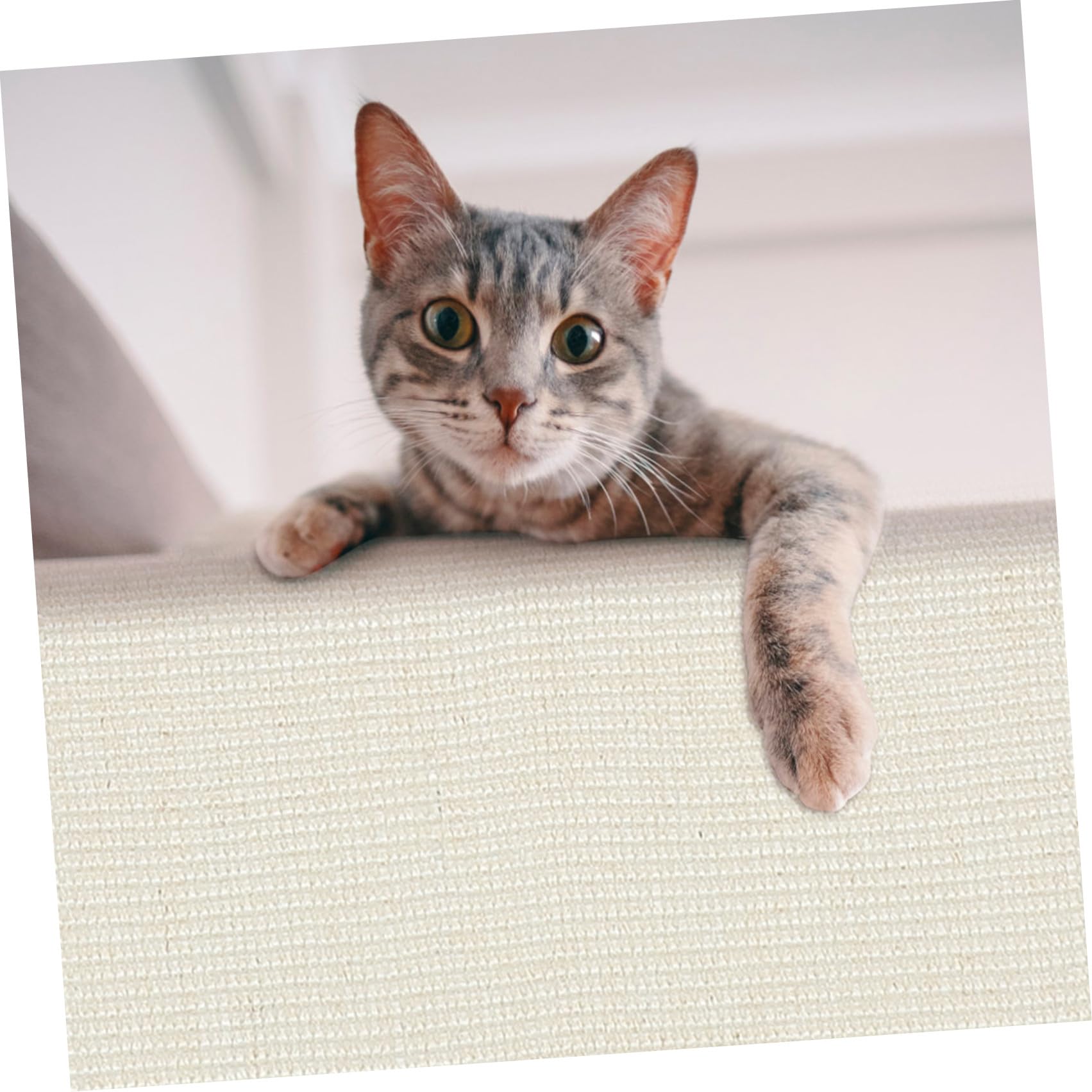 Protector contra Arañazos para Sofá Garra de Sisal, Cubierta Antirayaduras para Gatos, Adecuado para Sala o Tienda, Material Duradero y Entretenido