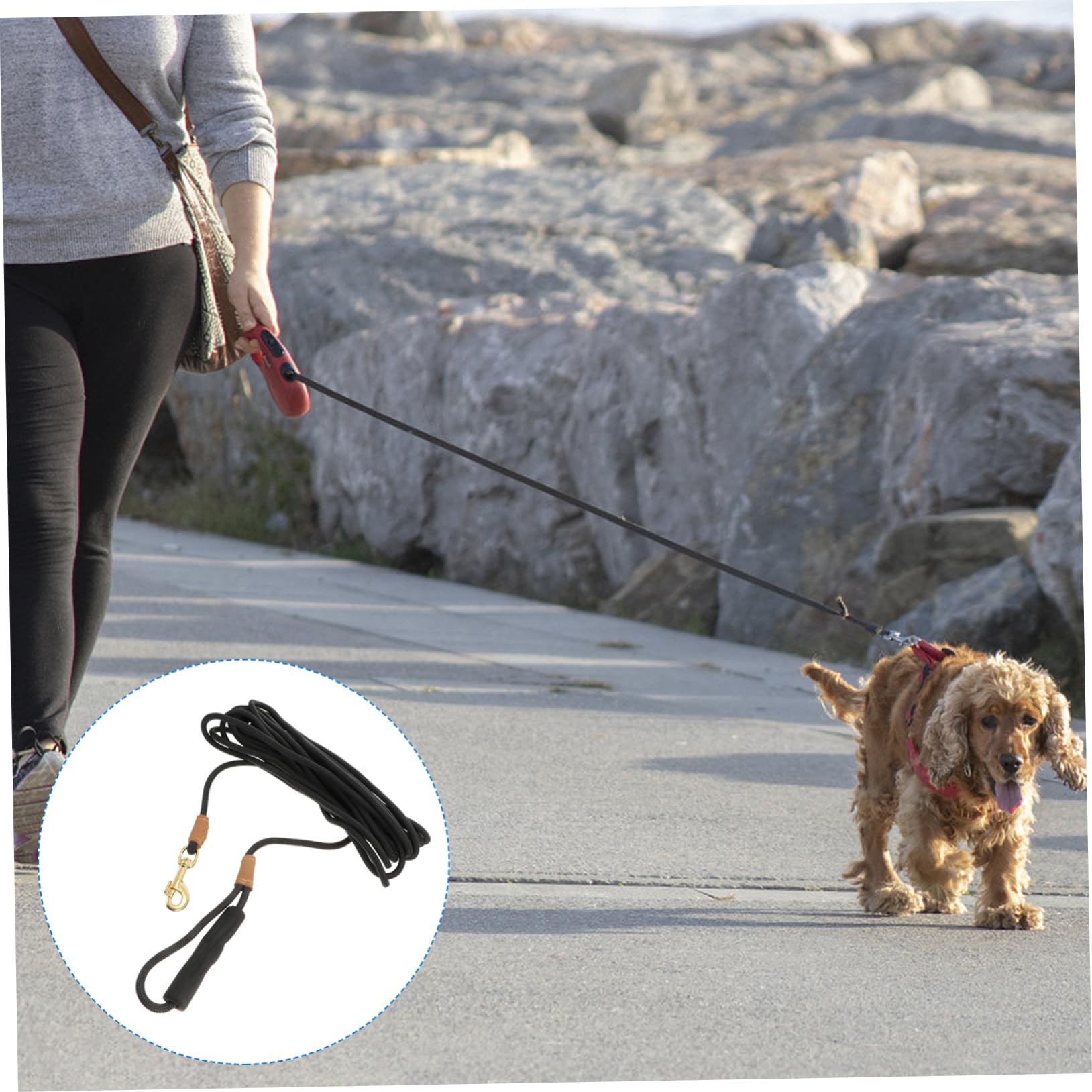 ibasenice 10 Meters Long Dog Traction Rope Sturdy Comfortable Pet Leash for Training Walking Outdoor Use Durable for