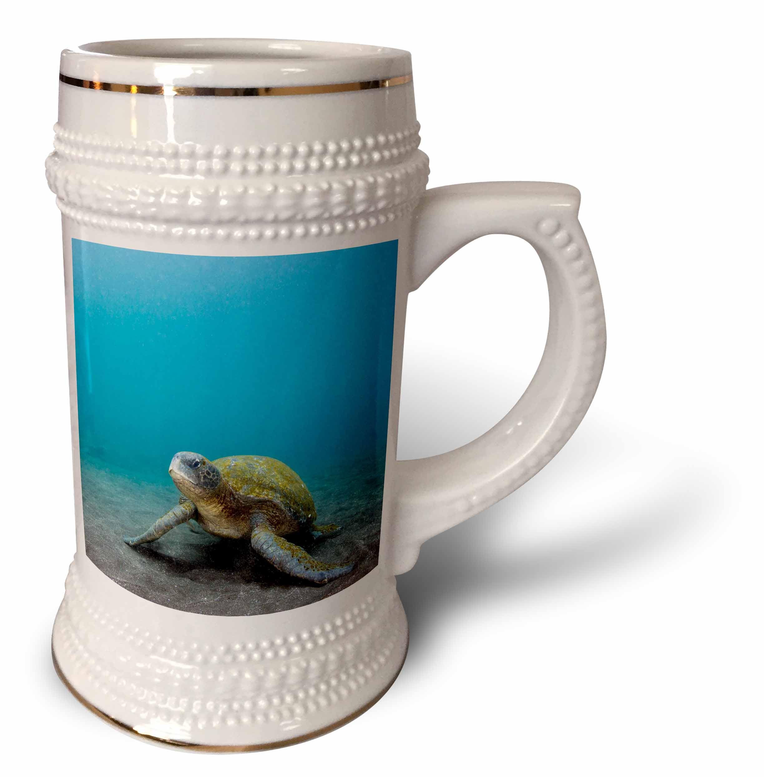 Tortuga Mar Verde Galápagos Taza Stein de 18 oz para Desayunos y Cafés Grandes