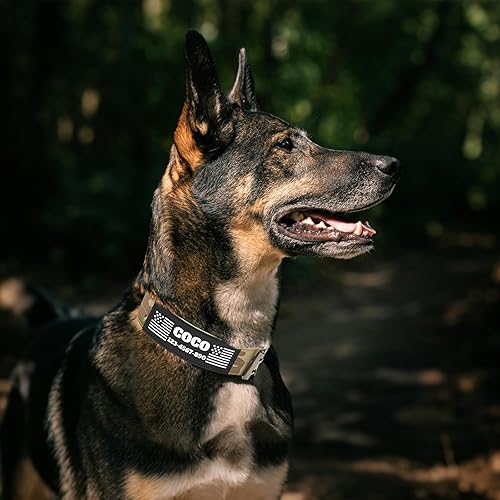 Miniatura 4 de Collar táctico para perro con parche personalizable con nombre y texto, collar personalizado de nailon con hebilla de metal duradera para perros