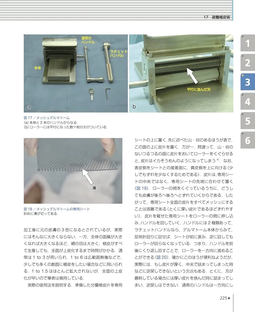 【裁断済】皮膚外科学 改訂第２版 裁断済】皮膚外科学 改訂第2版 裁断済】皮膚外科学 改訂第