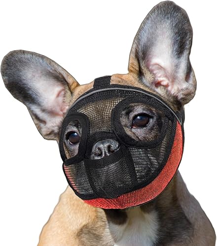 Miniatura 8 de Bozal corto para perro, bozal ajustable para perros grandes de cara plana, guía de boca de malla, brillo nocturno, para Shih Tzu, Bulldog inglés,