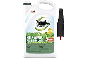 Roundup for Lawns Ready-to-Use with Trigger Sprayer