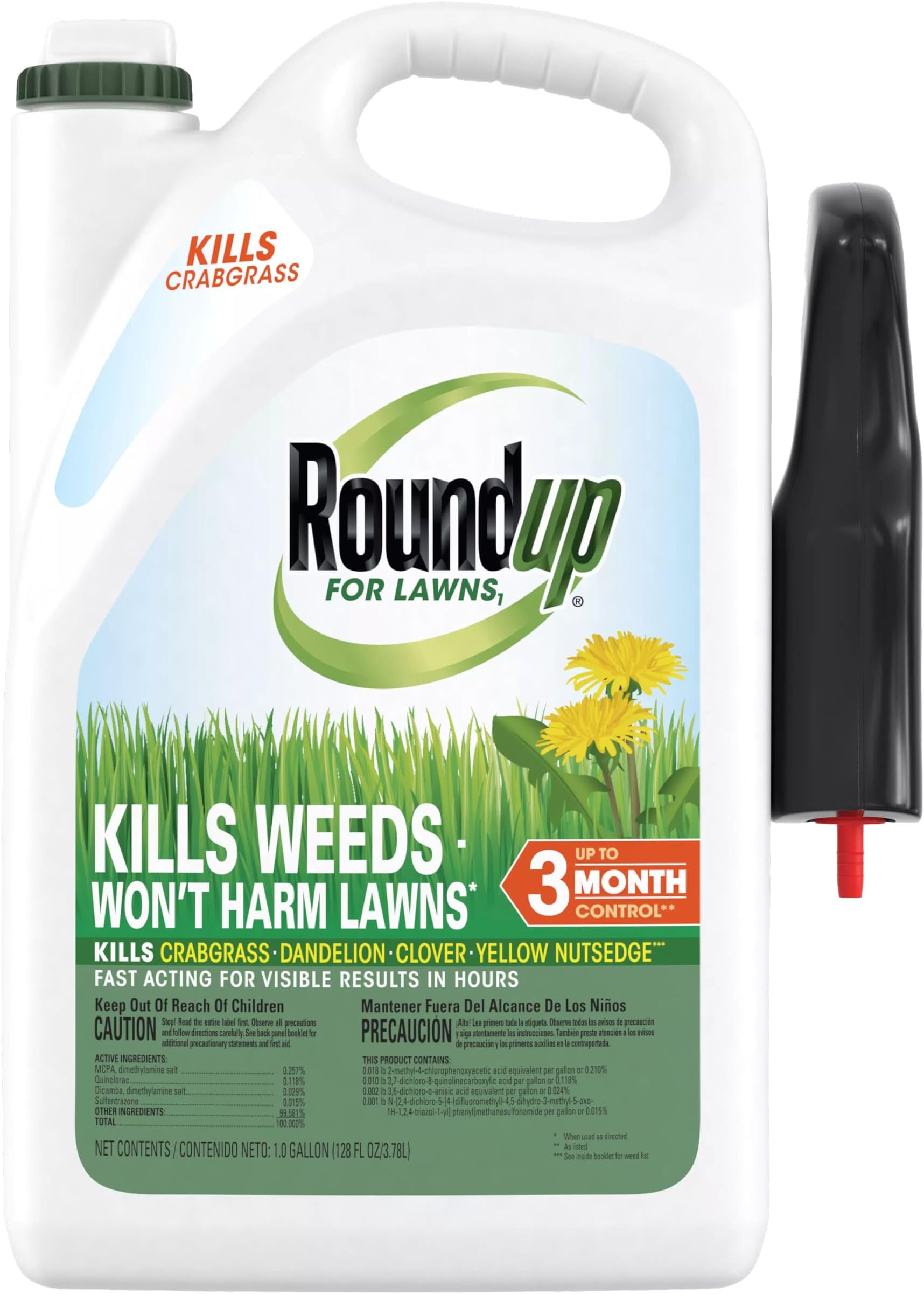 Roundup For Lawns2 Concentrate (Northern), 32 oz. Lawn