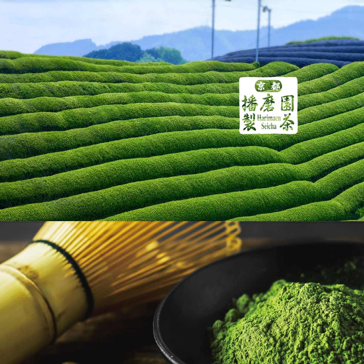 Kyoto Harimaen Uji Organic Matcha powder type 30g(Japan import) JAS mark Green tea