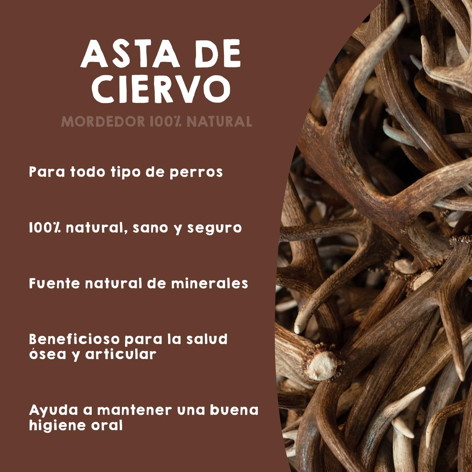 MAIKAI Pack 2 Asta de Ciervo Natural para Perro Talla L – Mordedor Resistente para Razas Medianas hasta 30 kg – Hueso para Perros Grandes Juguete Masticable Duradero y Seguro - Regalo Perro