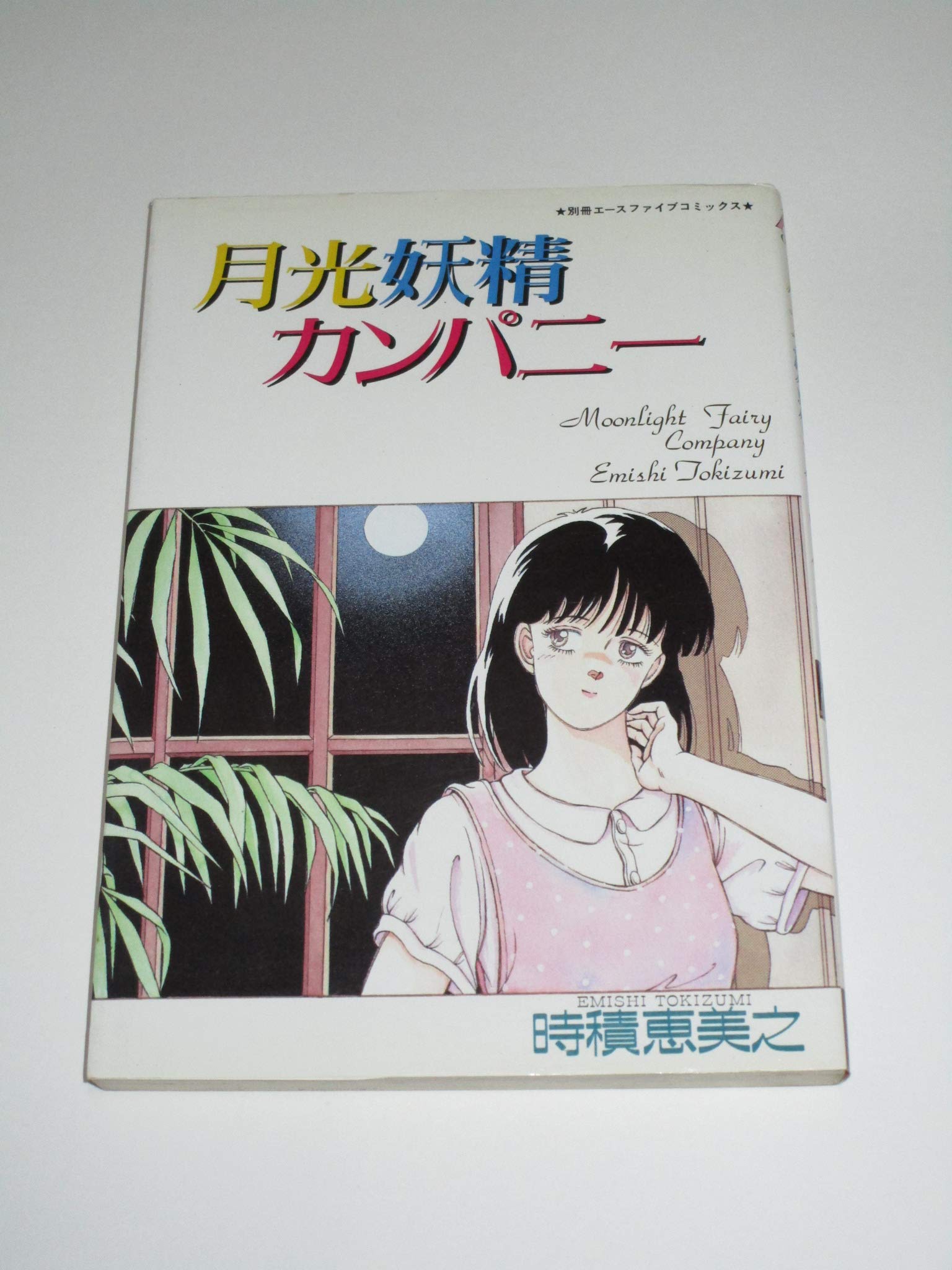 Amazon.co.jp: 時積 恵美之: 本、バイオグラフィー、最新アップデート
