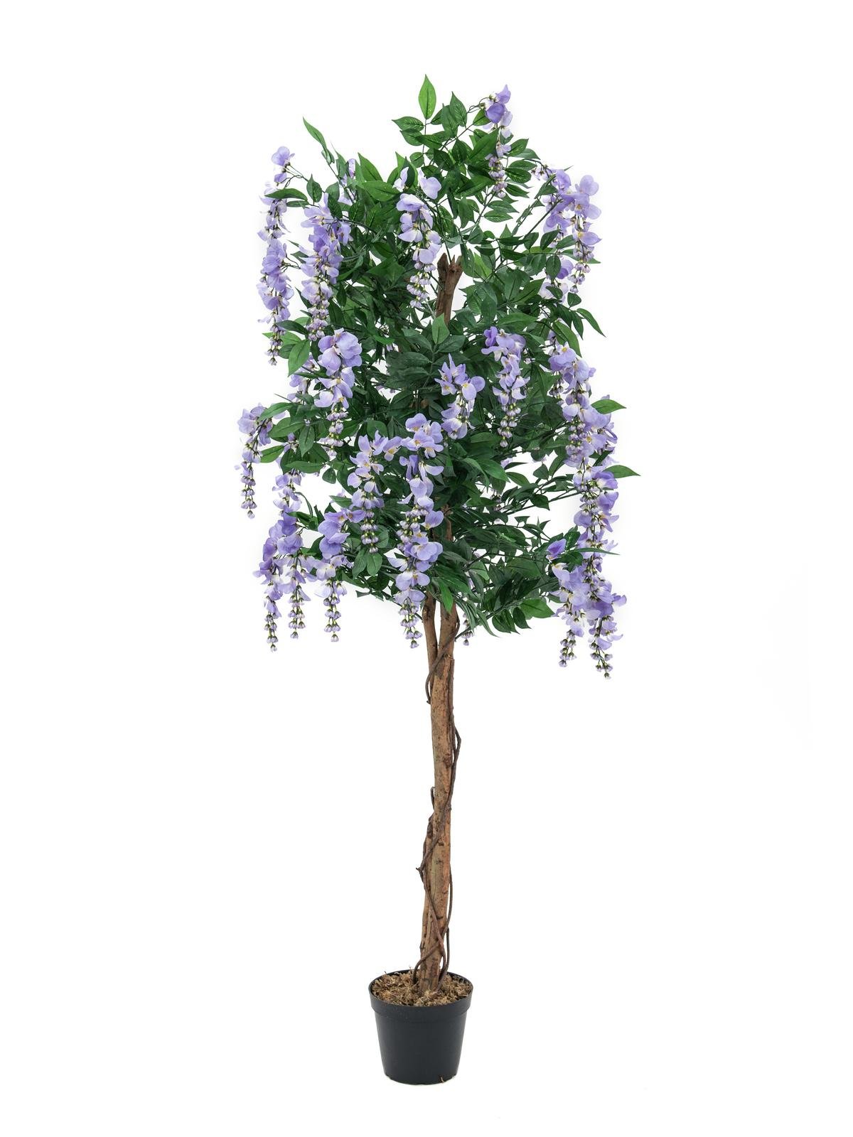 Europalms 180 cm Wisteria, Viola