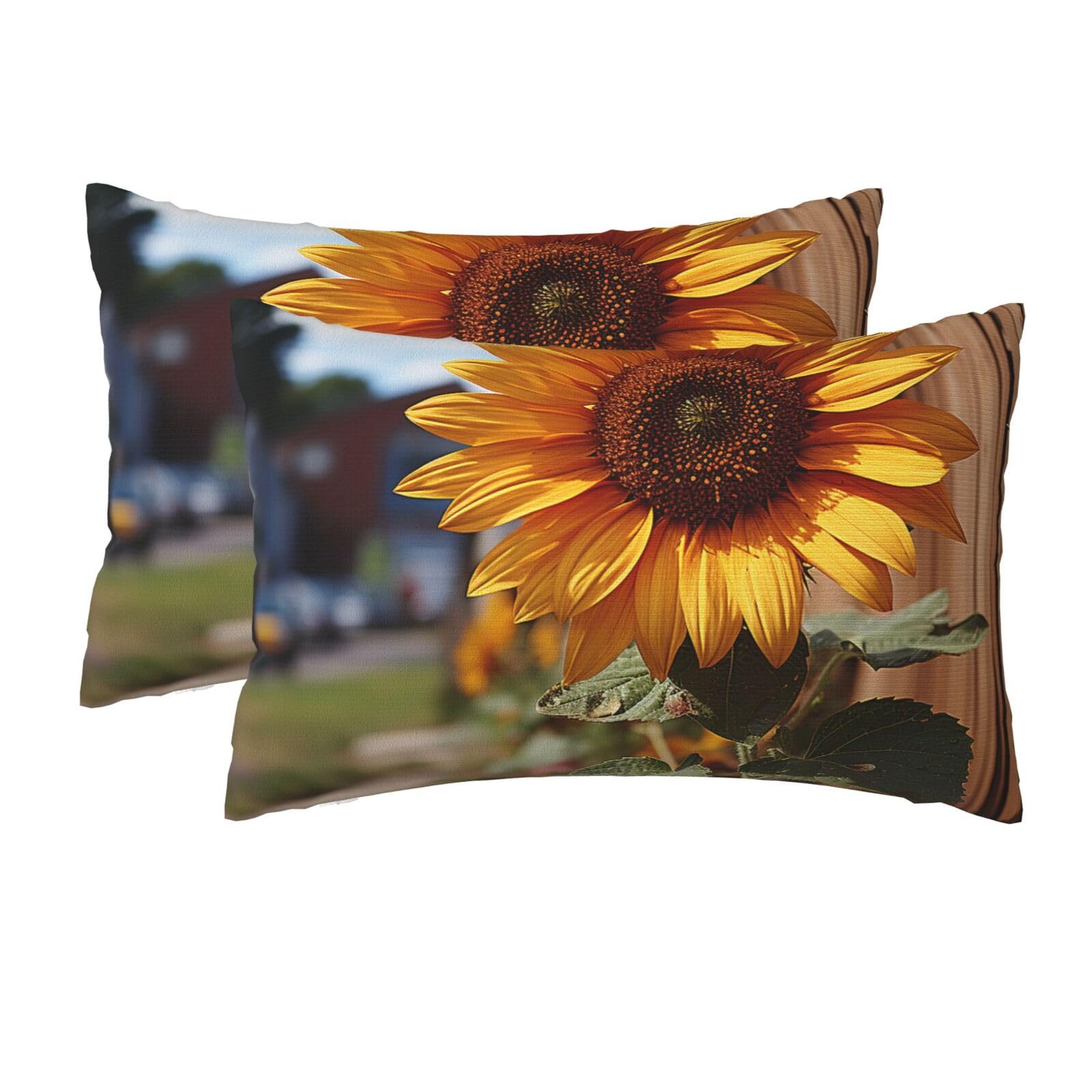 2 Pack Queen Size Pillow Cases for Hair and Skin Soft Breathable Pillow Case Covers with Hidden Zipper Farm Sunflower Pillowcase 20x30 Inches Pillow Cover for Sleeping Gift
