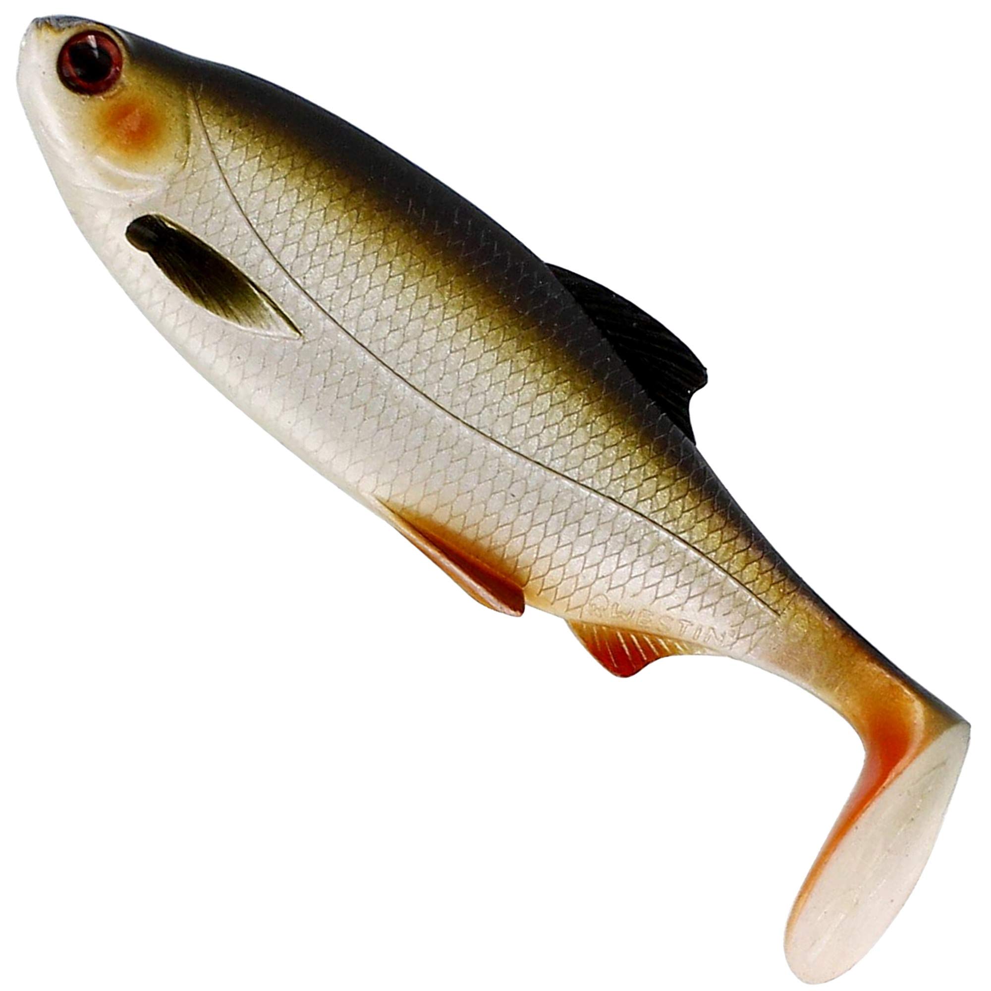 Westin Ricky The Roach Rubber Fish for Spin Fishing, Rubber Bait for Spin Fishing for Pike, Zander, Perch and Trout, Shad, Colour: Lively Roach, Length / Weight: 18 cm / 85 g