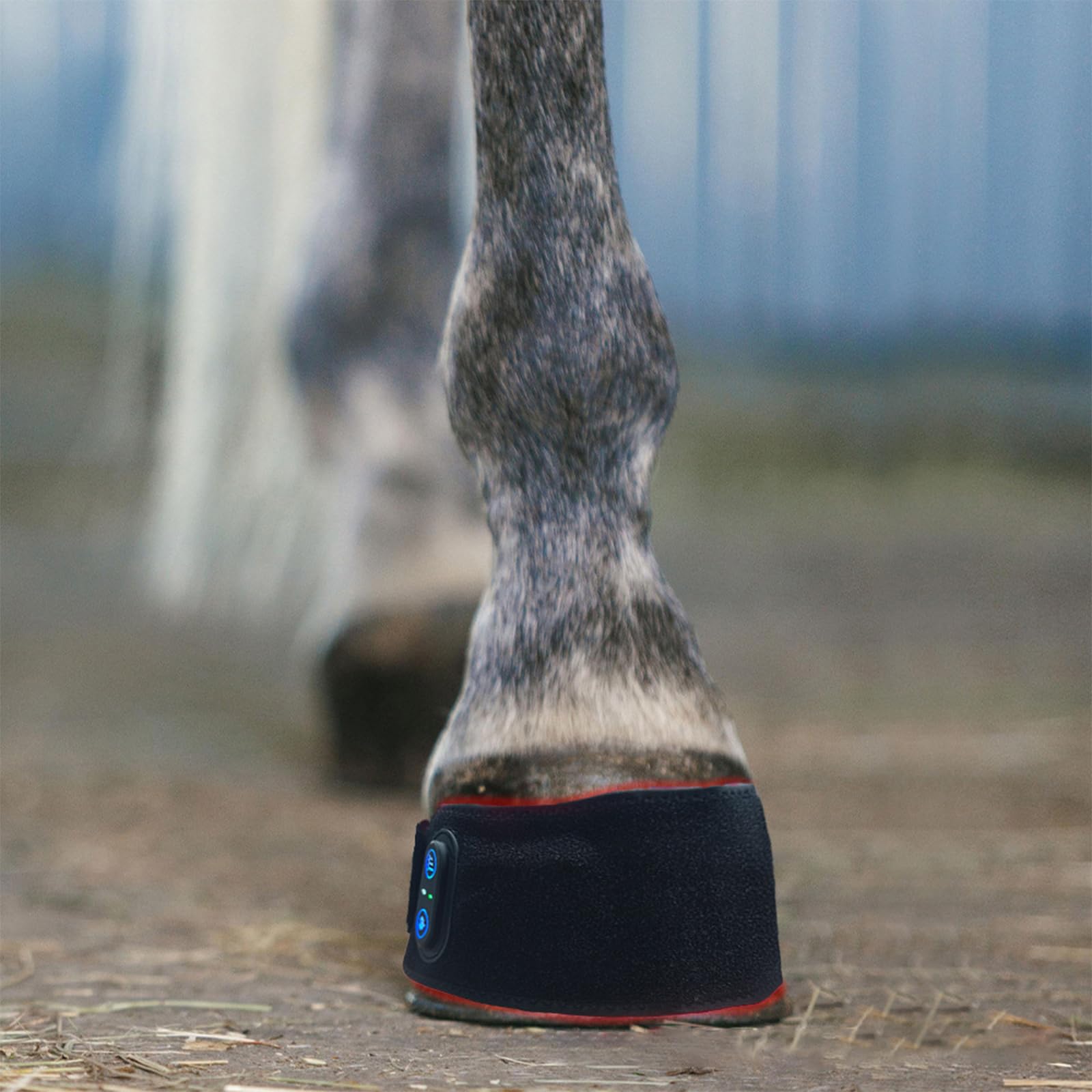 GOURIXIN Terapia de luz roja para caballos, envoltura infrarroja equina de 660 nm 850 nm para alivio del dolor de pezuña, rodilla y corvejón, temporizador de 20 minutos, recargable de 3000 mAh