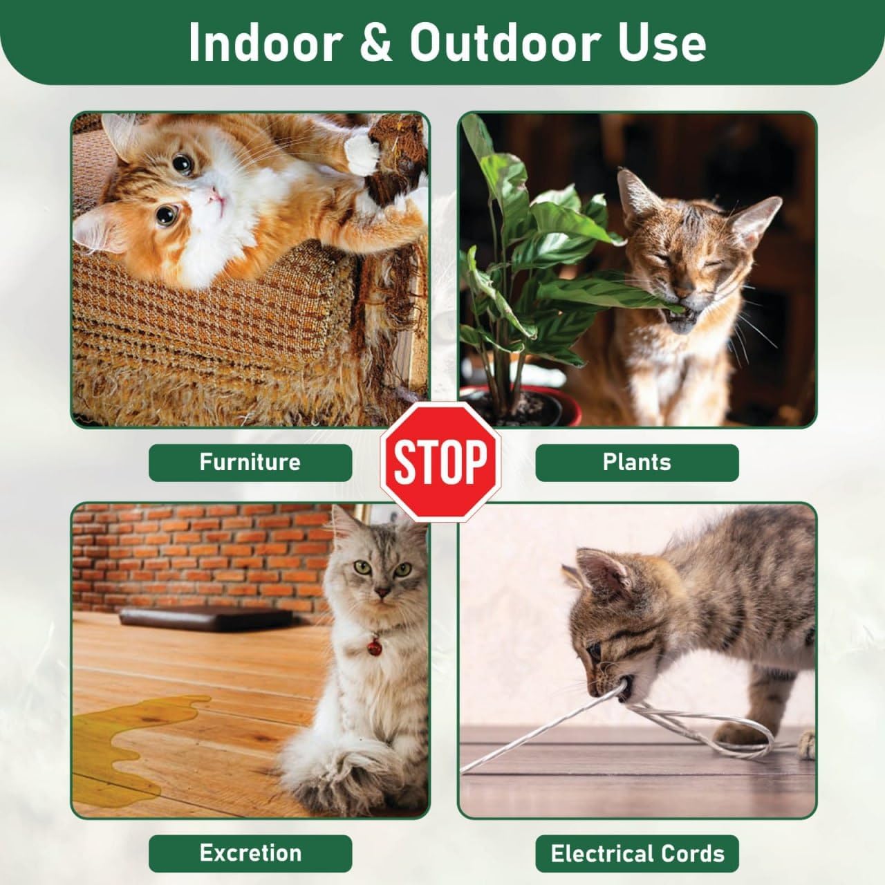 Wezone Cat & Dog Repellent for Home & Garden – Natural Peppermint Oil Pet Deterrent Spray to Stop Scratching, Chewing & Marking – Indoor & Outdoor Safe Solution for Pets & Family (Pack of 10) 1