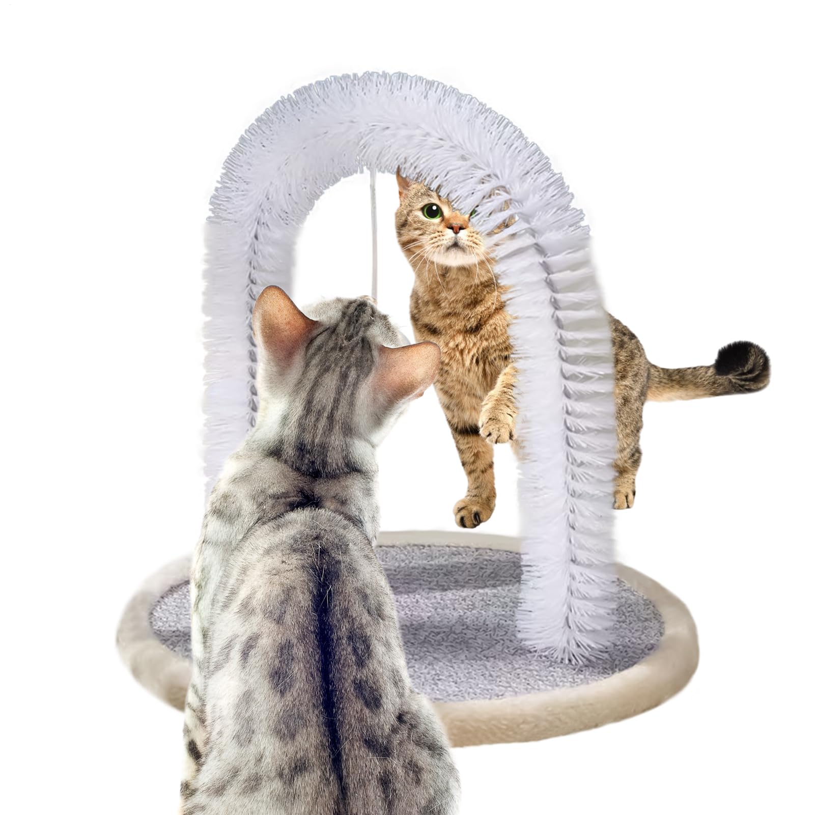 Cepillo para gatos interactivo rascador con cerdas duraderas para masaje y muda 8