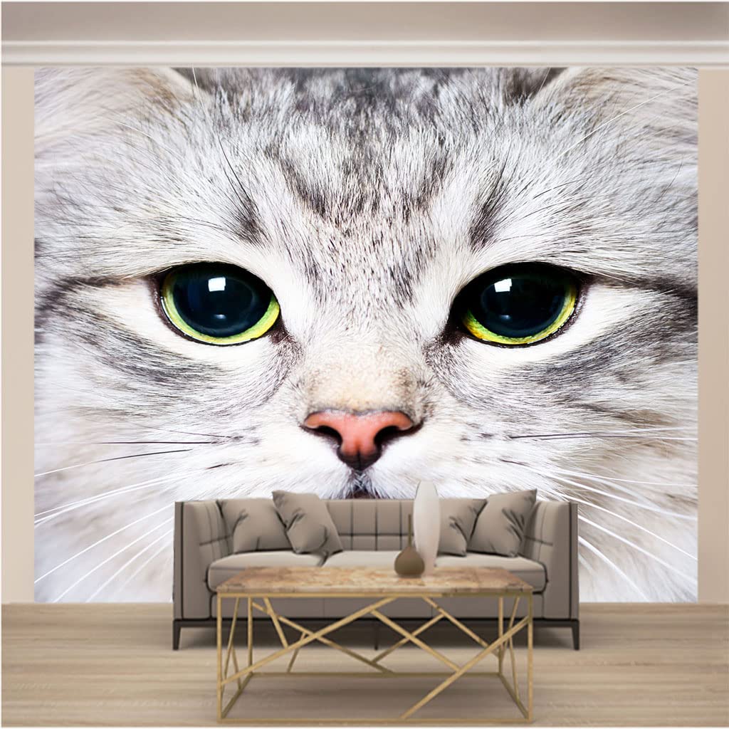 Amazon | 写真の壁紙現代 アニマル猫 サイズ:200 x 140cm 壁画
