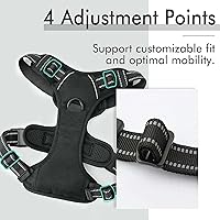 Vista 5 de Arnés para perro, arnés sin tirones para mascotas con 2 clips para correa, chaleco acolchado suave ajustable para perro, chaleco Oxford reflectante