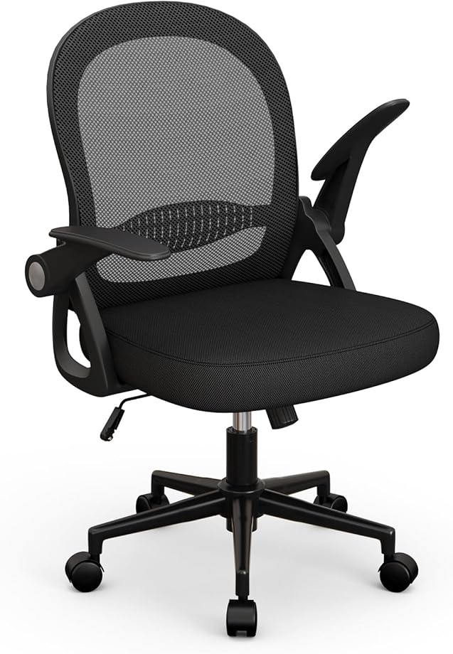 Sedia ufficio naspaluro sedia scrivania con supporto lombare AM51-G