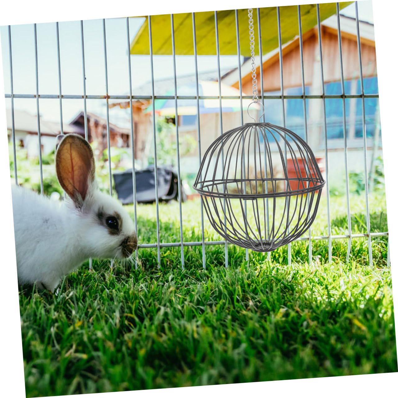 4pièces Distributeur De Foin pour Lapins Boules à Grains Suspendues pour Animaux De Compagnie Jouets Amusants pour Rongeurs Et Oiseaux Accessoire De Cage pour Hamsters Et