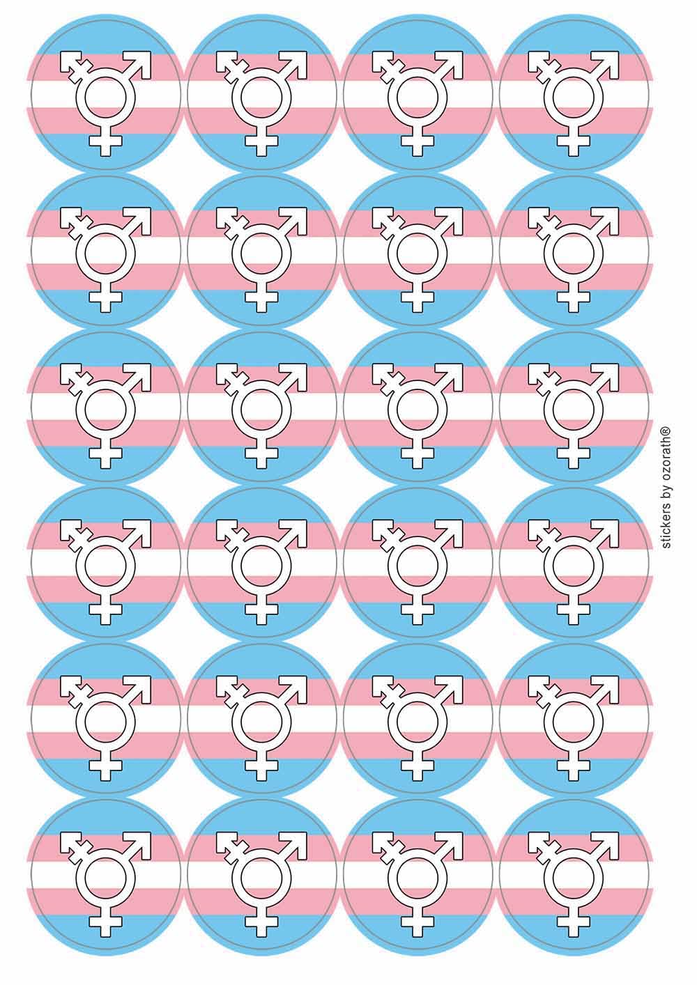 Transgender Symbol LGBTQ Pride Circular Matt Paper Stickers A4 Sheet of 24 (Each Sticker is 45mm Diameter)