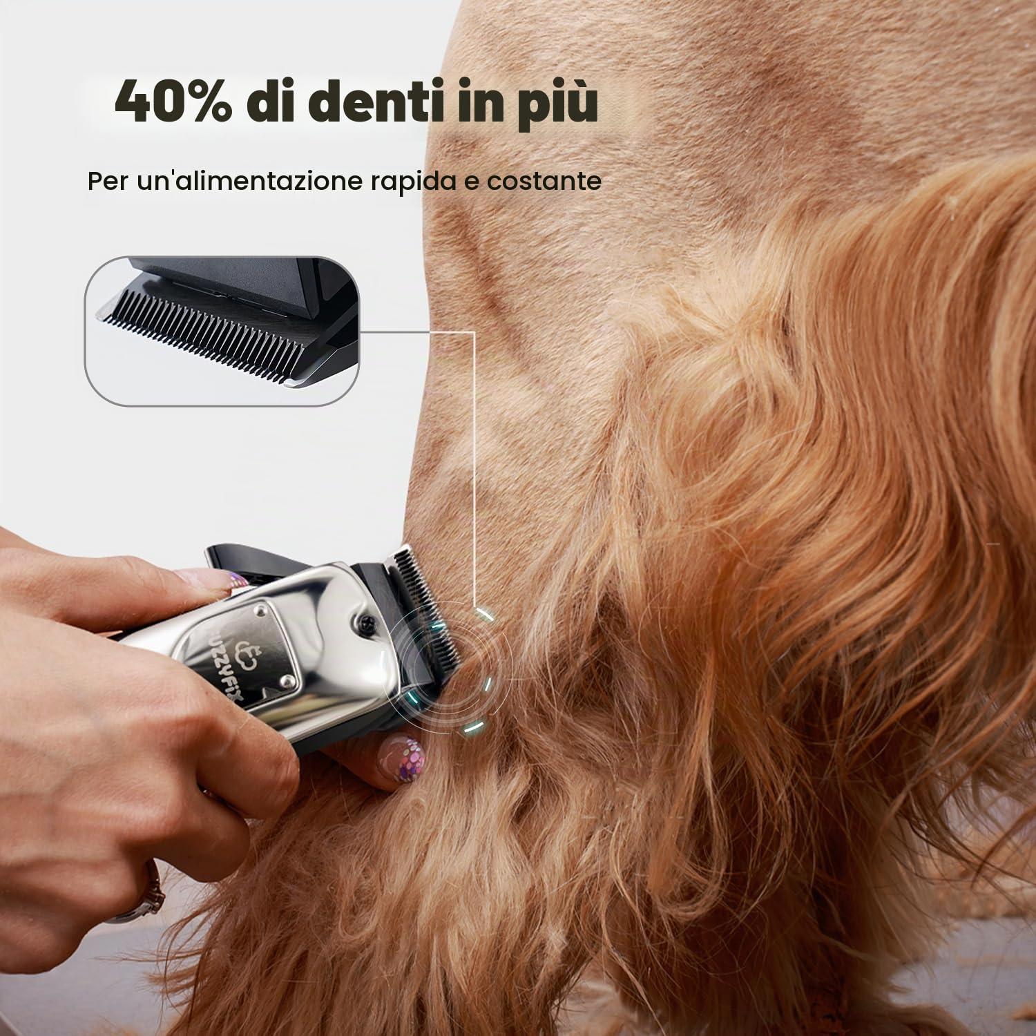 Tosatrice per Cani 4-in-1 Professionale per Cani con Pelo Folto, Ricaricabile e Silenziosa, con Custodia, Set di 1 spazzole per la cura del pelo