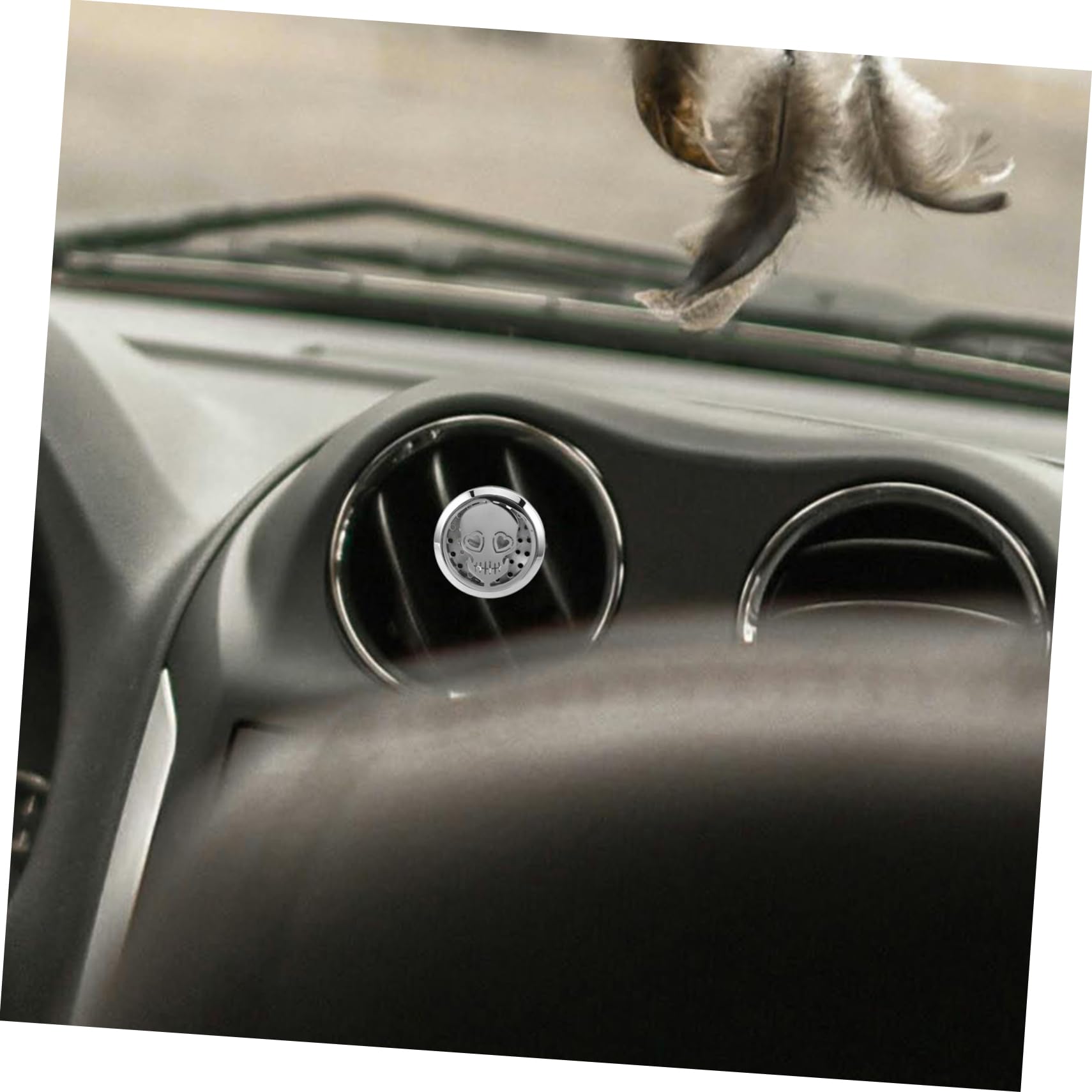 iplusmile 5pezzi Car Diffusore Aromatico Con Design Teschio Clip Per Ventilazione Auto Decorazione Aromatica Profumazione Personalizzabile Accessorio Per Auto e Casa