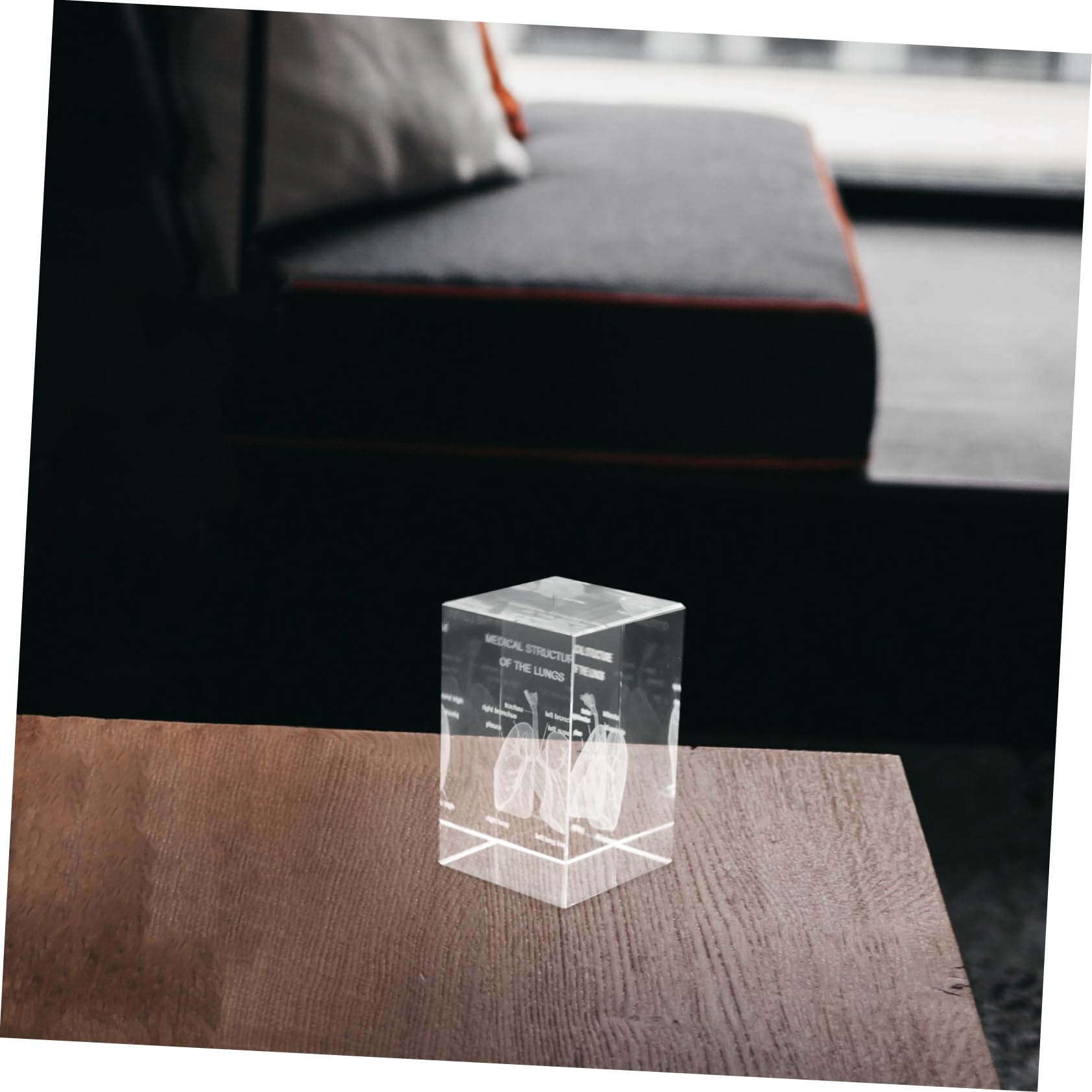 Modelo Anatómico del Pulmón en Cristal 3d Intrincado Grabado Interno, Diseño en Cubo Elegante para Enseñanza Científica y Decoración en Oficina