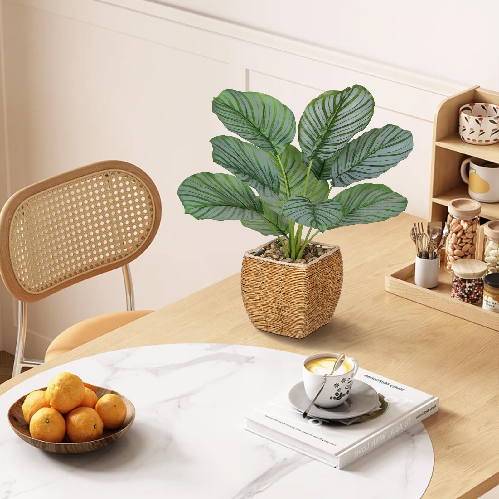 große efeutute kaufen Epipremnum Aureum (Efeutute) kaufen? | Hängepflanze