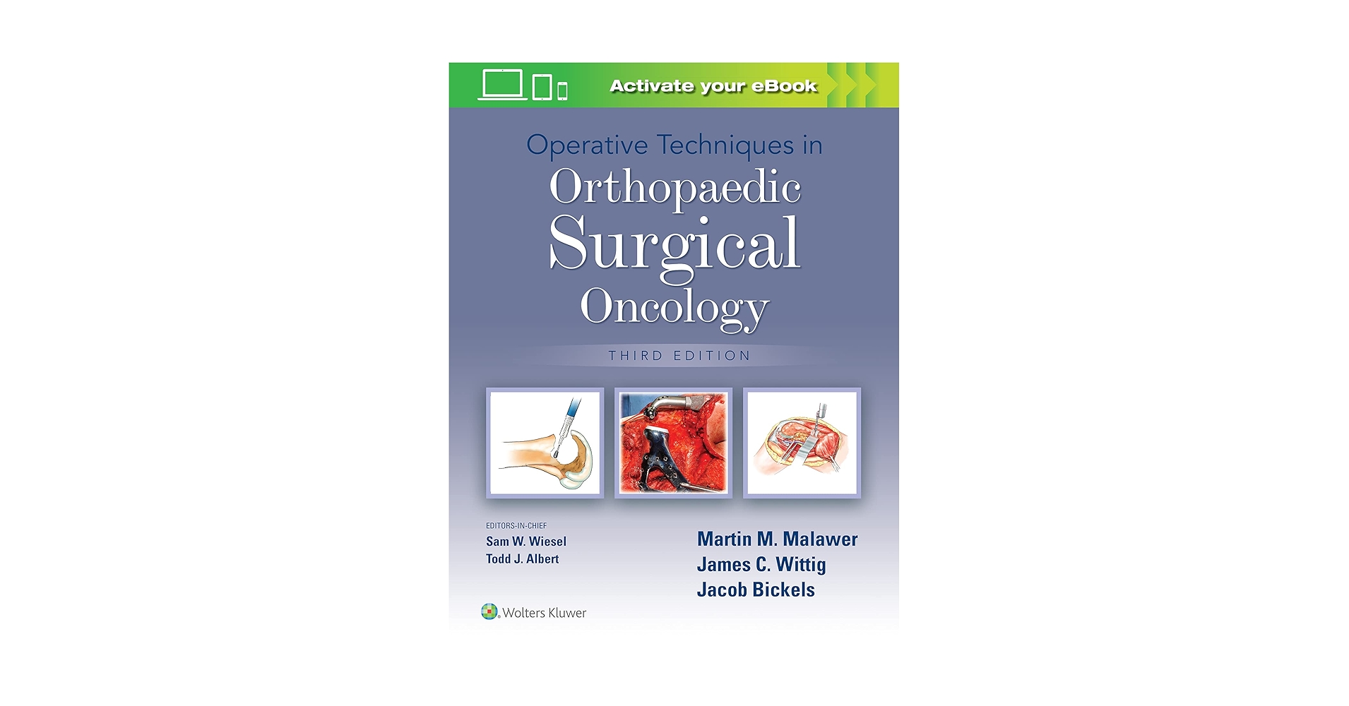 医学書 腫瘍外科分野 Orthopaedic Surgical Oncology Operative Techniques in Orthopaedic Surgical Oncology