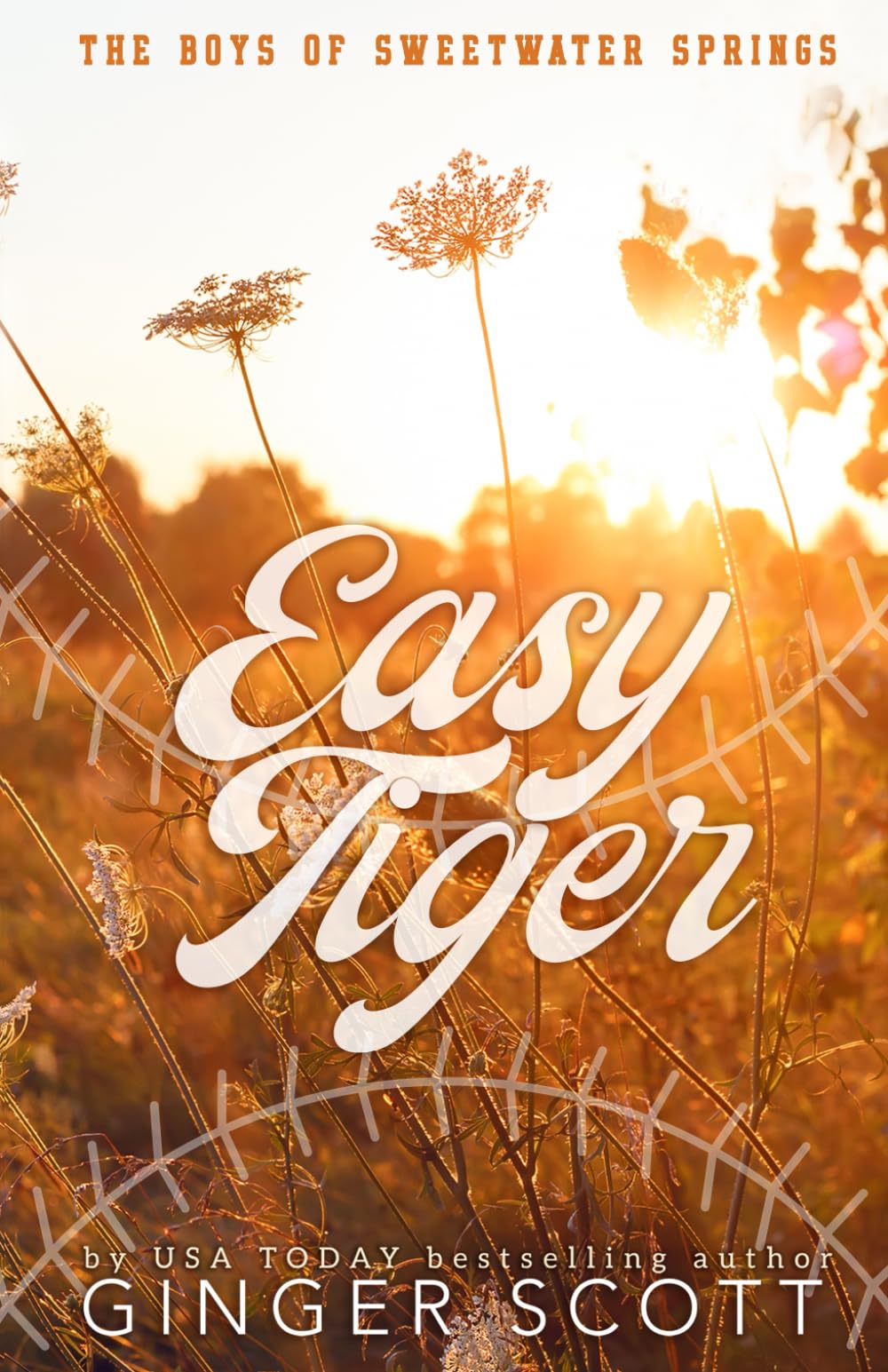 Easy Tiger: an enemies-to-lovers, small town baseball romance (The Boys of Sweetwater Springs)
