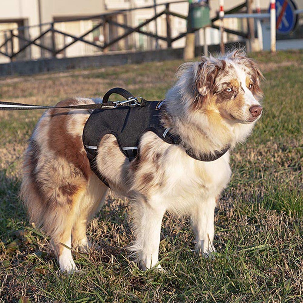Ferplast verstellbares Hundegeschirr L Brustumfang 70-80 cm Schwarz | Gepolstertes reflektierendes Hundegeschirr für Komfort, Kontrolle und Sicherheit beim Spazieren, Wandern und Trekking