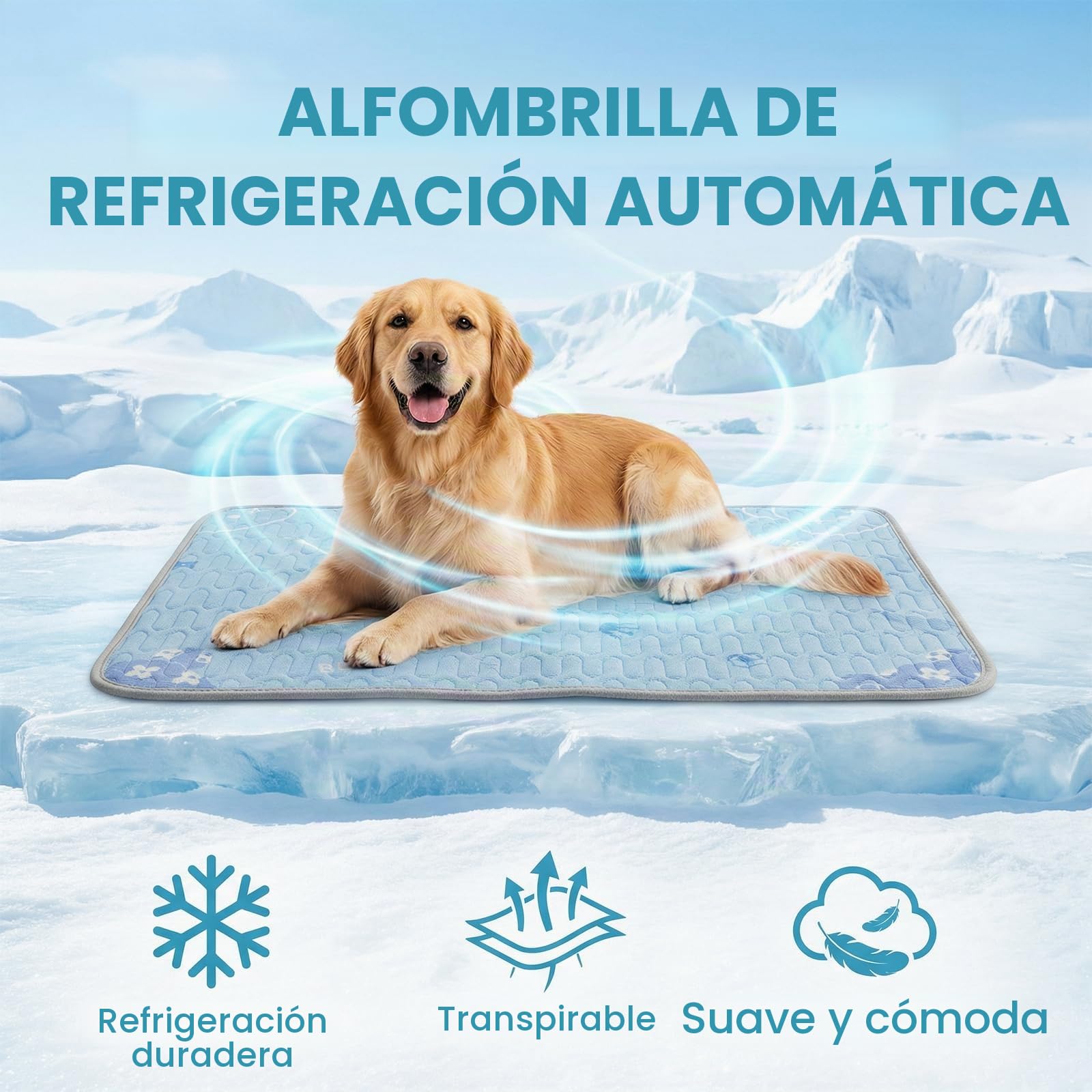 Qoosea Alfombra Refrescante para Perros 50x70cm, Lavable a Máquina - Diseño Osito Azul, Colchón en Tela de Seda Helada & Relleno de Látex, con Puntos Antideslizantes, para Casa y Coche