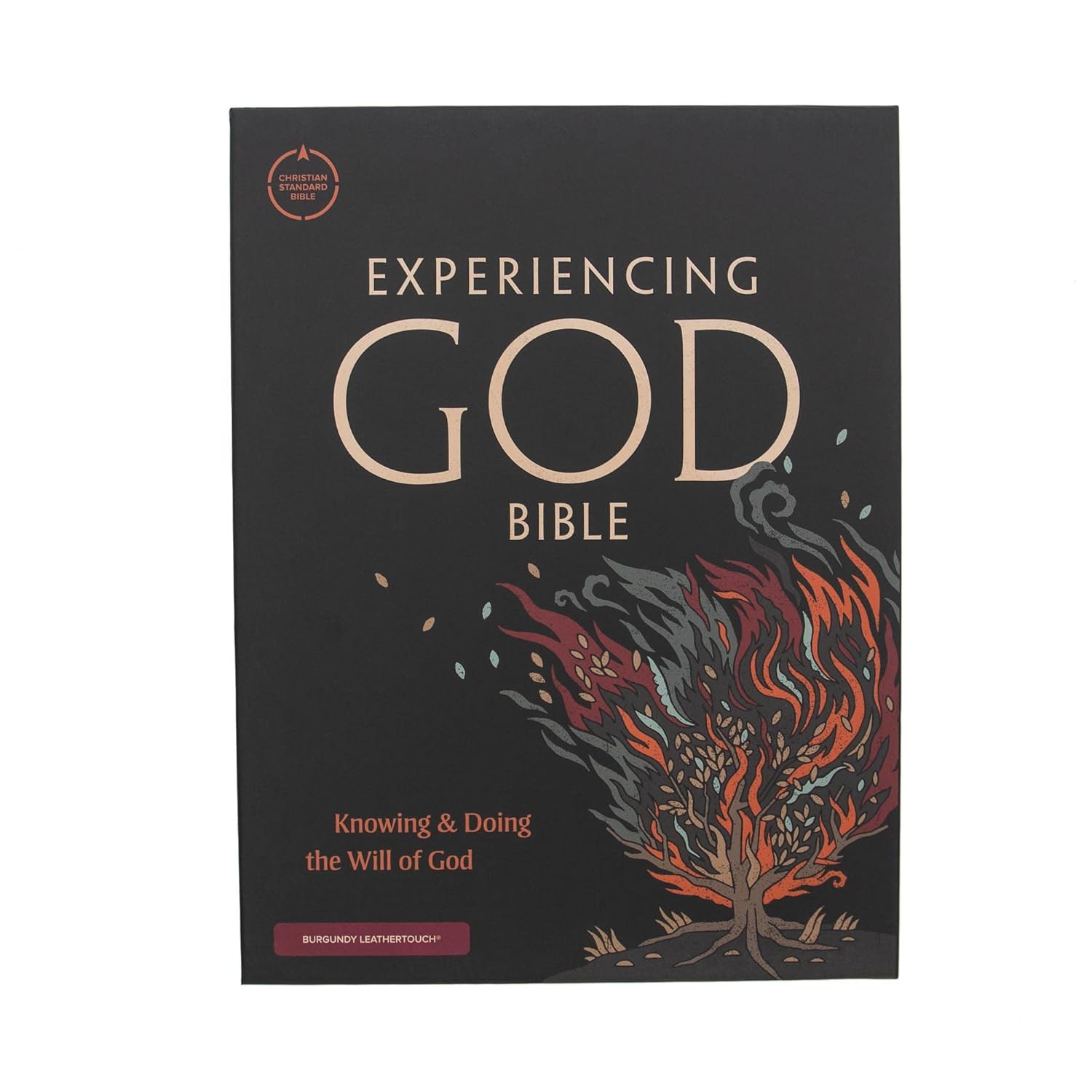 CSB Experiencing God Bible, Burgundy LeatherTouch, Full-Color Design, Articles, Character Profiles, Chapter Prompts and Questions, Key Verse Icons, Full-Color Maps, Easy-to-Read Bible Serif Type - Image 9