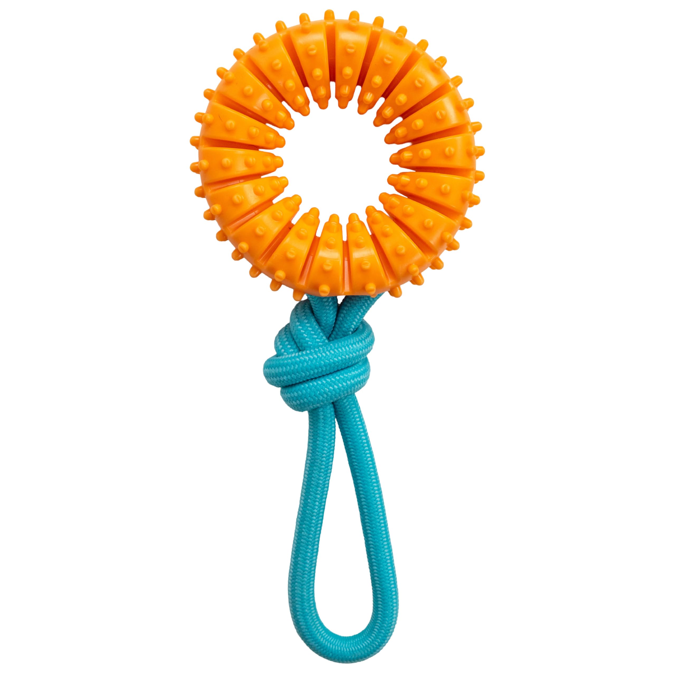 Outward Hound 2 w 1 Dental Chew Wheel zabawka do żucia dla psa i zabawka do szarpania, fioletowe