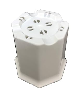 専用　丸2 白2 シャトル鉢 白 2寸 八角型 8角 100個セット 多肉 サボテン プラ鉢