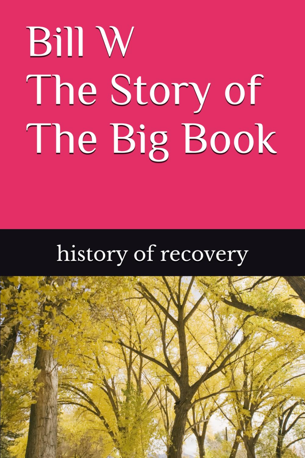 Bill W The Story of The Big Book