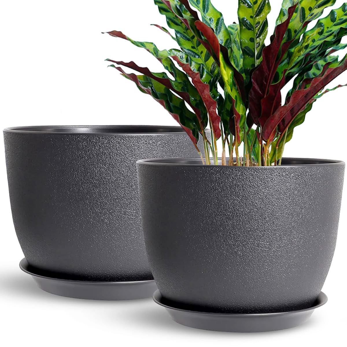 FIORIERE, FIORIERA DA Esterno, Vasi Da Esterno, Fioriera Da Balcone - Foto 8