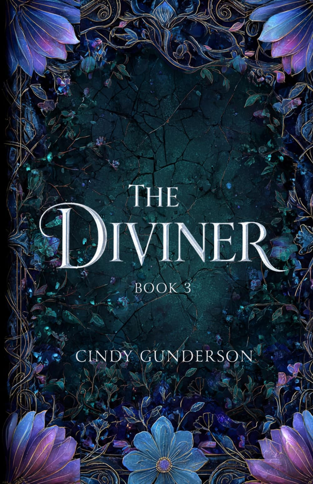 The Diviner: A true enemies-to-lovers, trained assassins fantasy romance. (The Blessing Giver)
