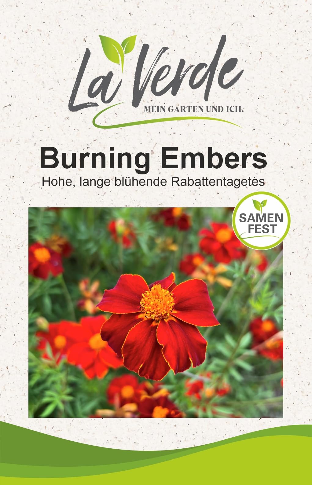 La Verde MEIN GARTEN UND ICH. Burning Embers Blumensamen für ca. 80 Pflanzen, Studentenblume, hohe Tagetes lang blühend, Saatgut ohne Gentechnik