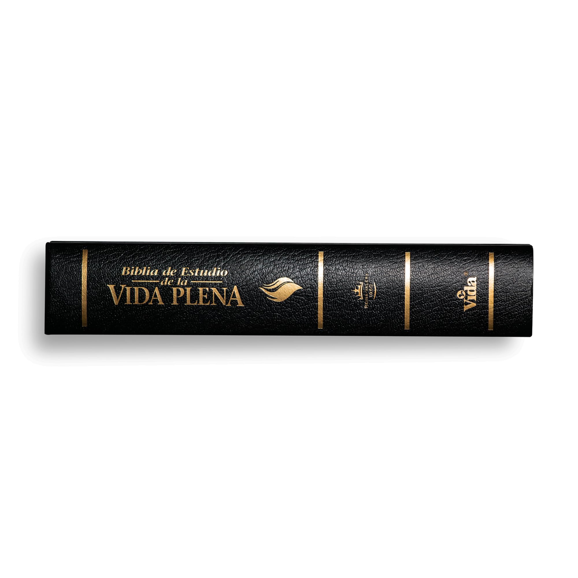 Biblia de Estudio de la Vida Plena-RV 1960: Reina-Valera 1960 (Full Life Study Bible)